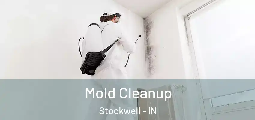  Mold Cleanup Stockwell - IN