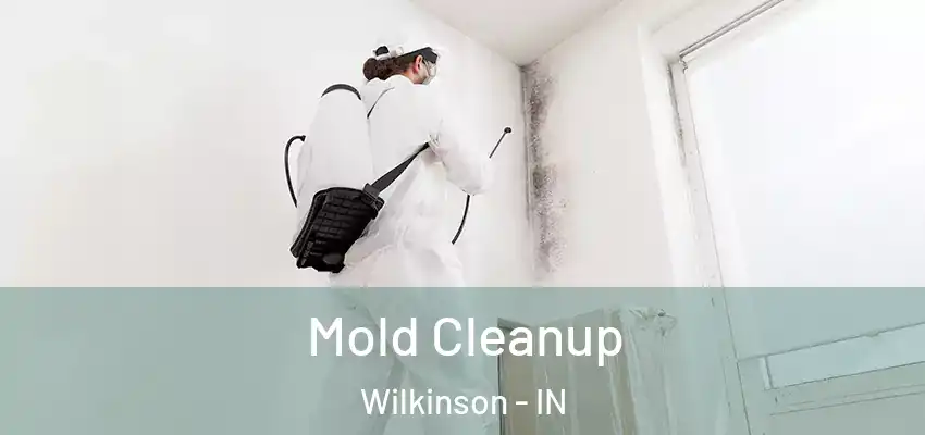 Mold Cleanup Wilkinson - IN