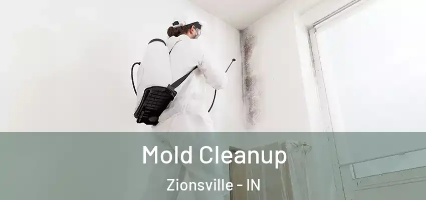  Mold Cleanup Zionsville - IN