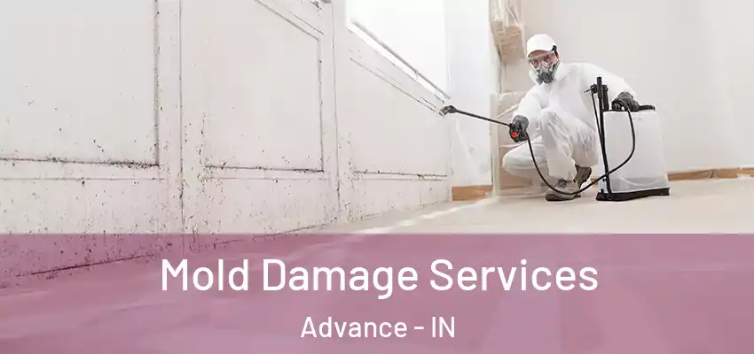  Mold Damage Services Advance - IN