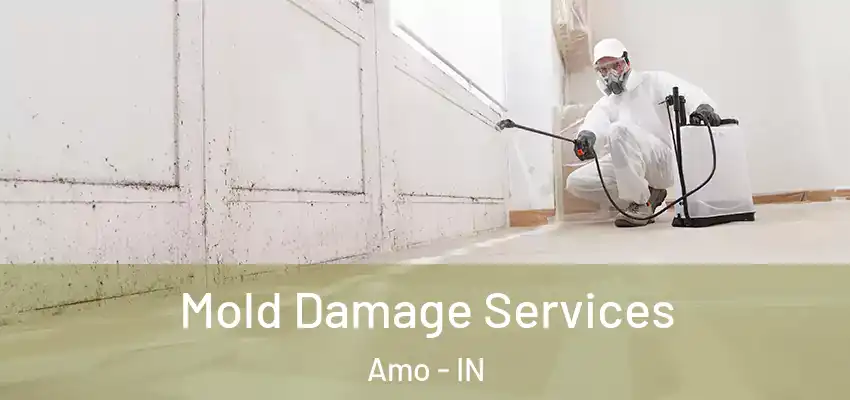  Mold Damage Services Amo - IN