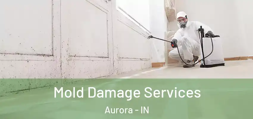  Mold Damage Services Aurora - IN