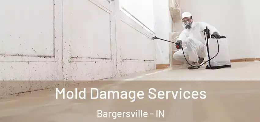  Mold Damage Services Bargersville - IN