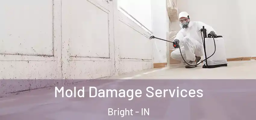  Mold Damage Services Bright - IN