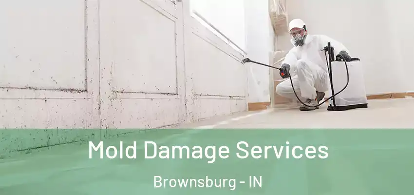  Mold Damage Services Brownsburg - IN