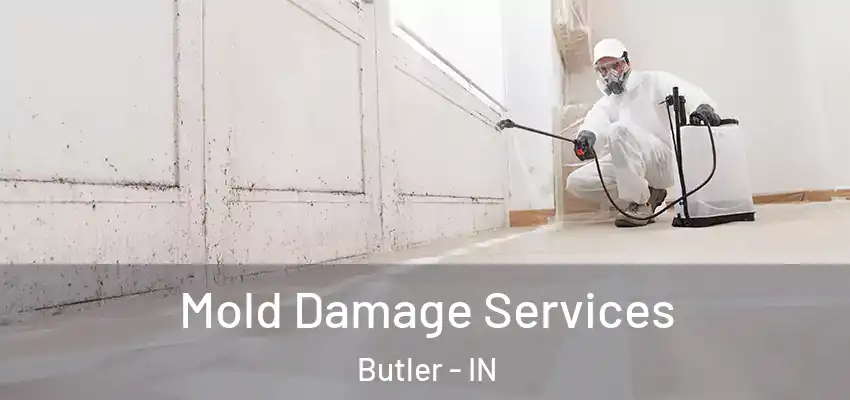  Mold Damage Services Butler - IN