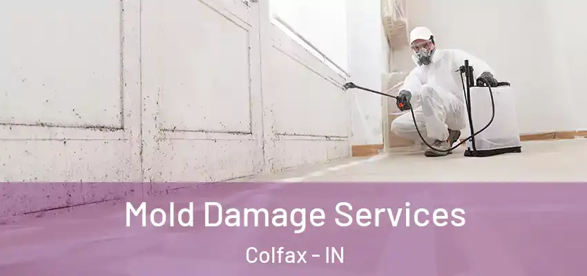  Mold Damage Services Colfax - IN