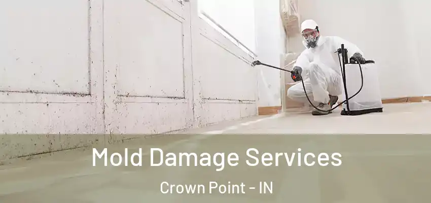  Mold Damage Services Crown Point - IN
