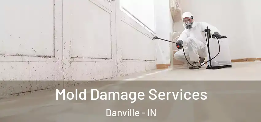  Mold Damage Services Danville - IN