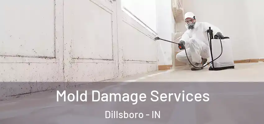  Mold Damage Services Dillsboro - IN