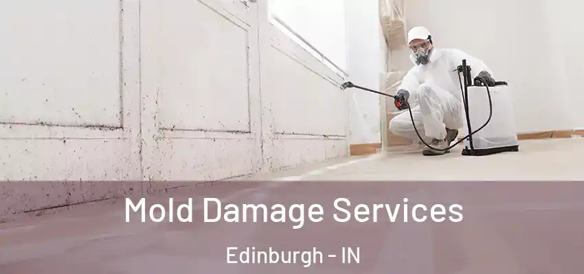  Mold Damage Services Edinburgh - IN