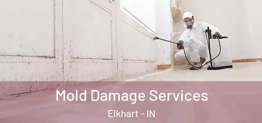  Mold Damage Services Elkhart - IN