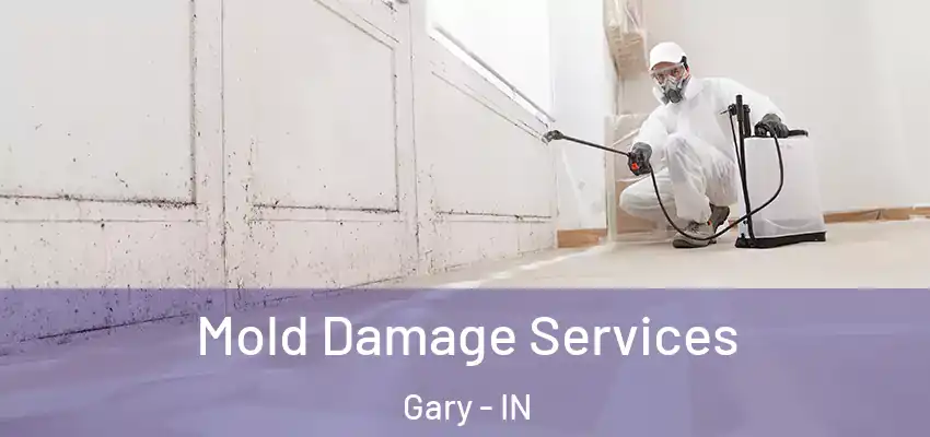  Mold Damage Services Gary - IN