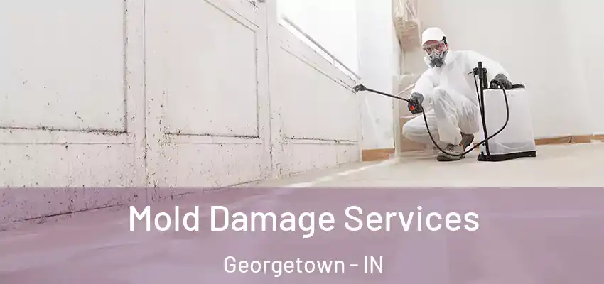  Mold Damage Services Georgetown - IN