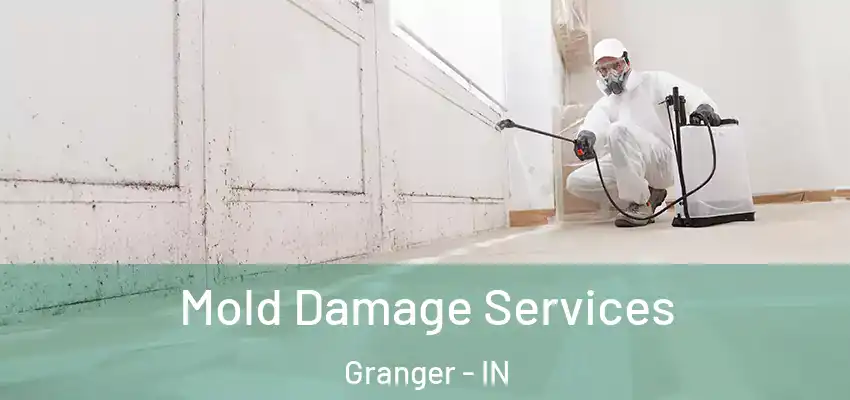  Mold Damage Services Granger - IN