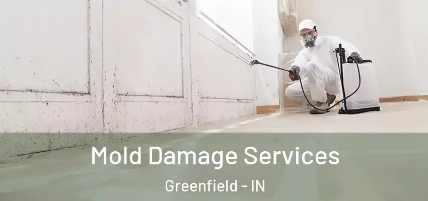  Mold Damage Services Greenfield - IN