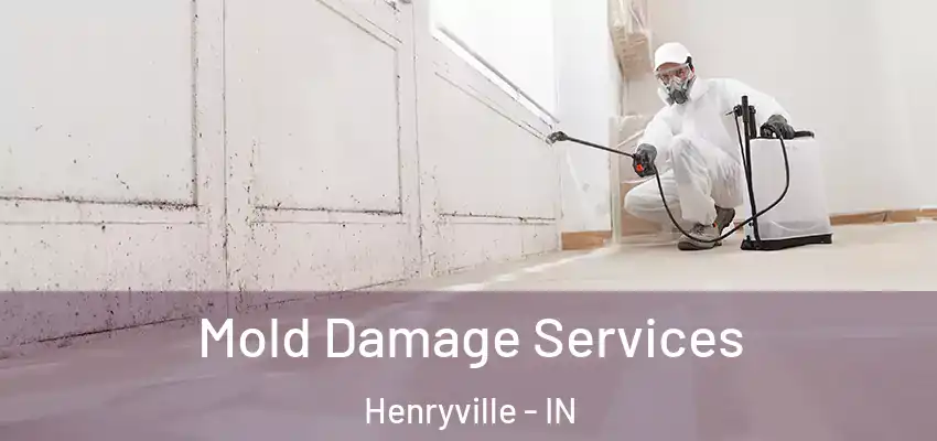  Mold Damage Services Henryville - IN