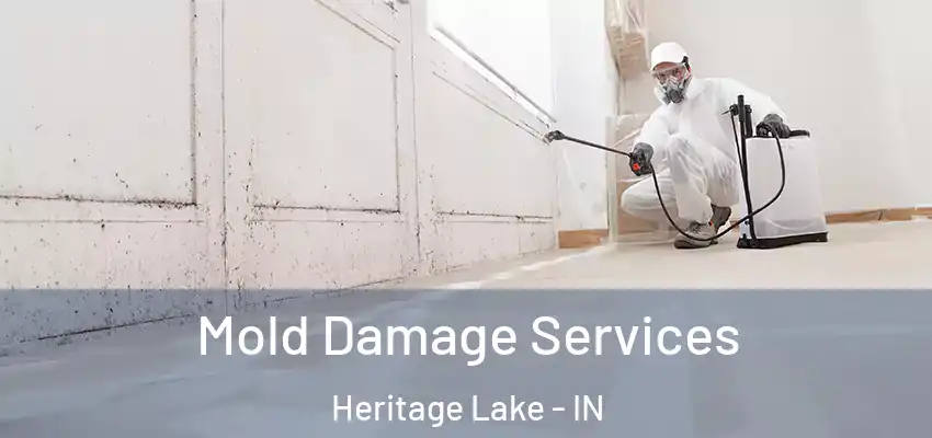  Mold Damage Services Heritage Lake - IN