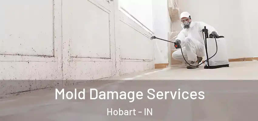  Mold Damage Services Hobart - IN