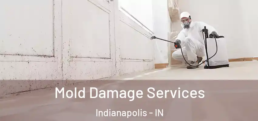  Mold Damage Services Indianapolis - IN