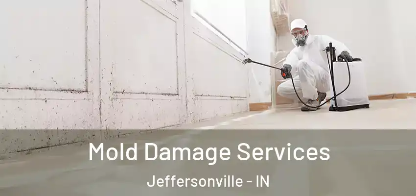  Mold Damage Services Jeffersonville - IN