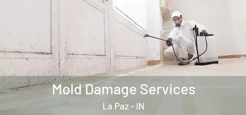  Mold Damage Services La Paz - IN