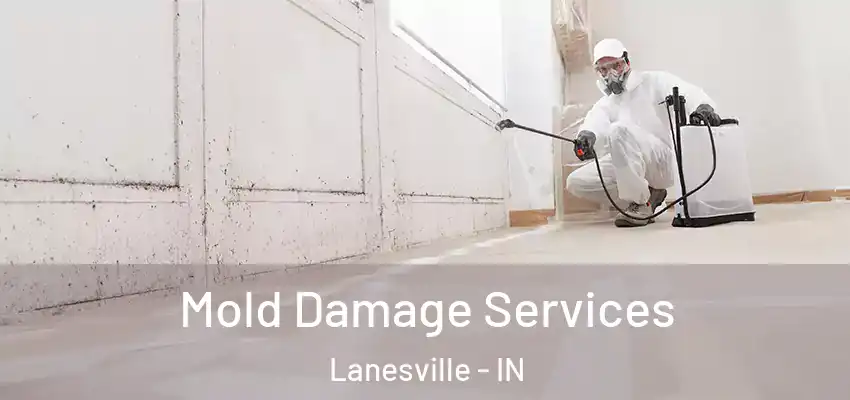  Mold Damage Services Lanesville - IN