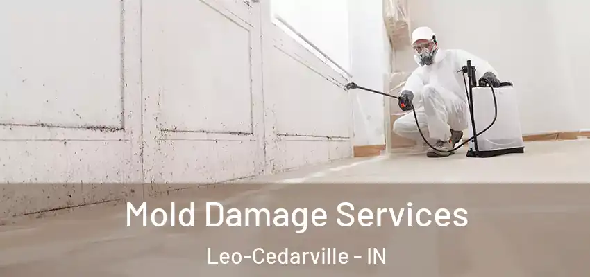  Mold Damage Services Leo-Cedarville - IN