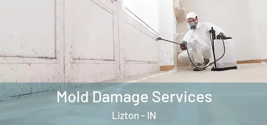  Mold Damage Services Lizton - IN