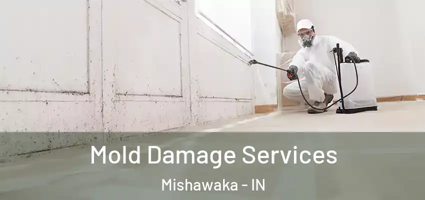  Mold Damage Services Mishawaka - IN
