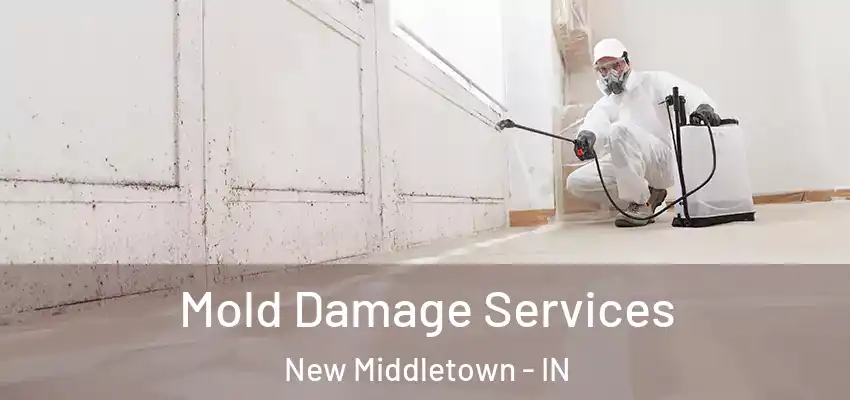  Mold Damage Services New Middletown - IN