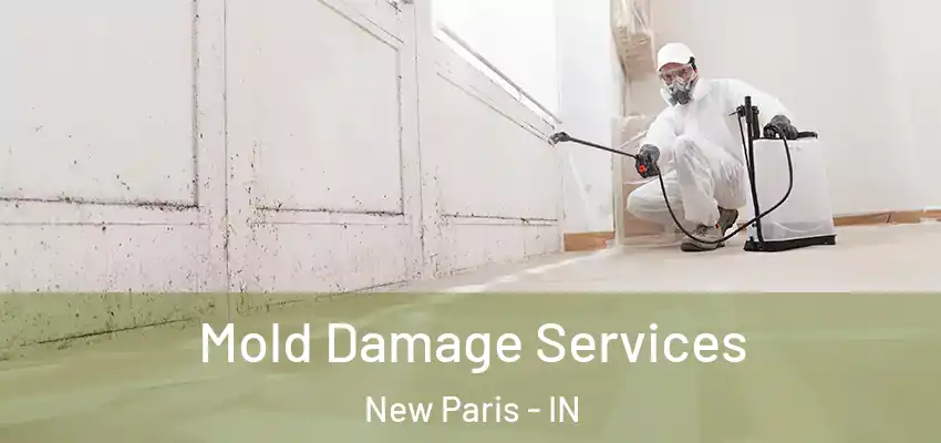  Mold Damage Services New Paris - IN