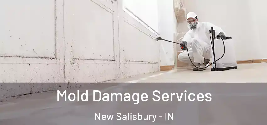  Mold Damage Services New Salisbury - IN