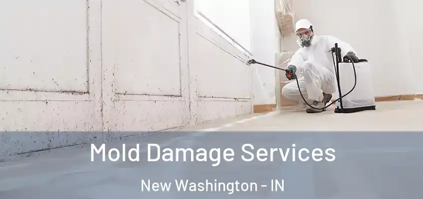  Mold Damage Services New Washington - IN