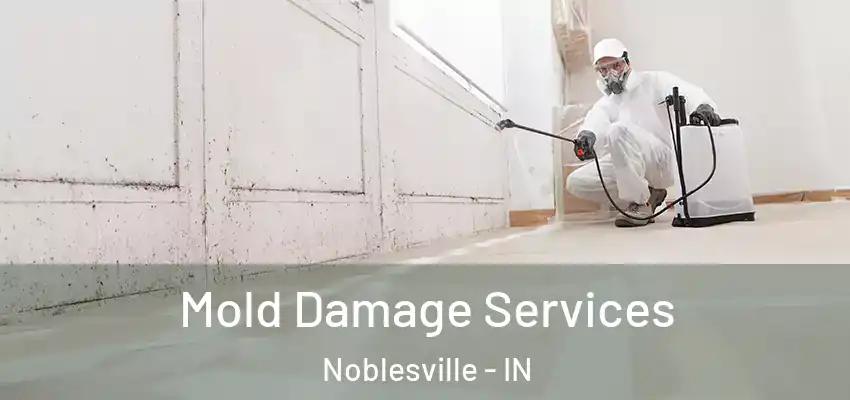  Mold Damage Services Noblesville - IN