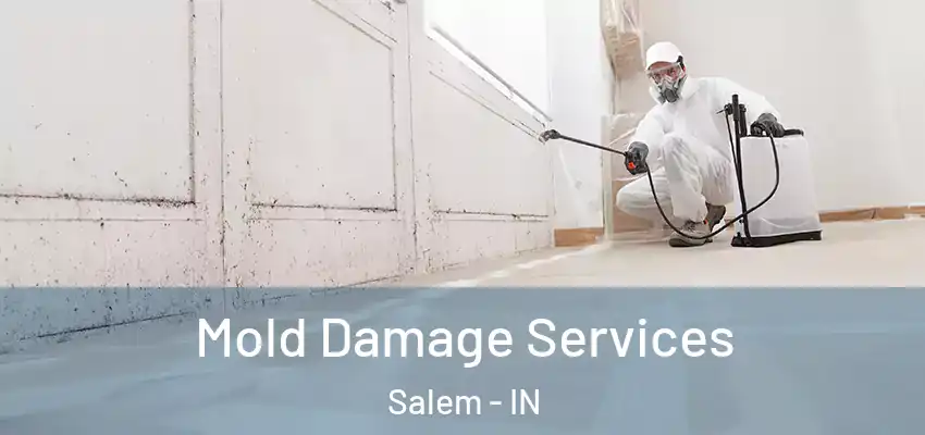  Mold Damage Services Salem - IN