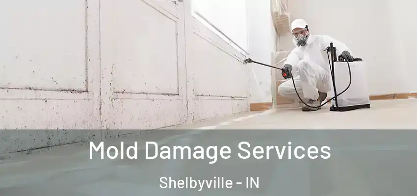  Mold Damage Services Shelbyville - IN