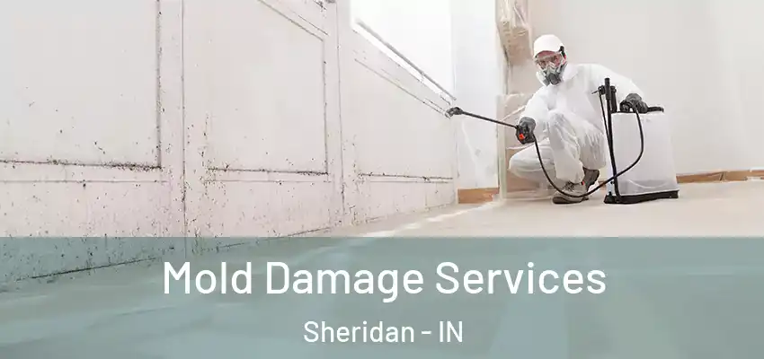  Mold Damage Services Sheridan - IN