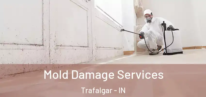  Mold Damage Services Trafalgar - IN