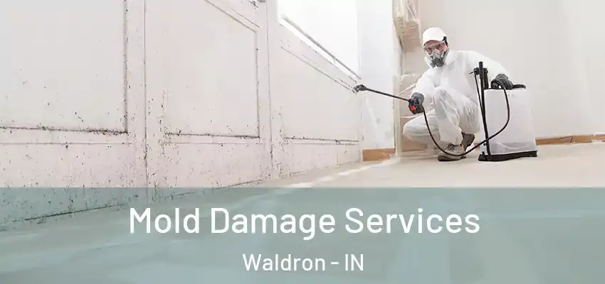  Mold Damage Services Waldron - IN