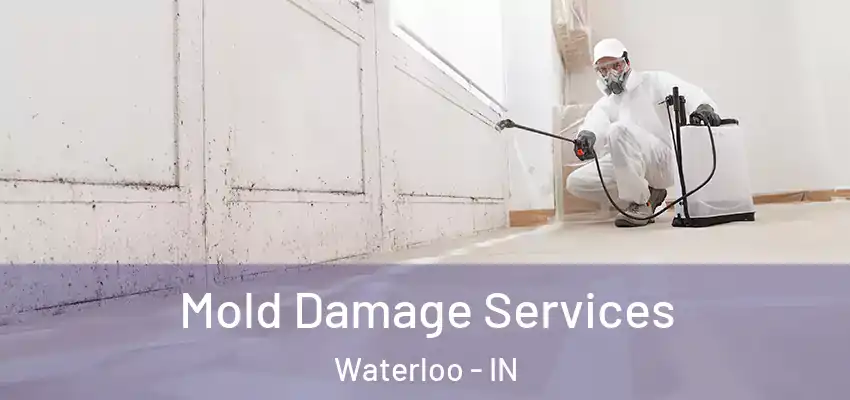  Mold Damage Services Waterloo - IN