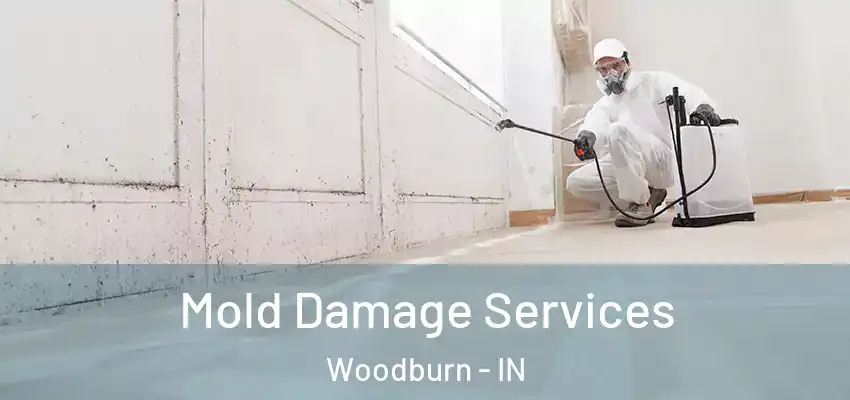  Mold Damage Services Woodburn - IN