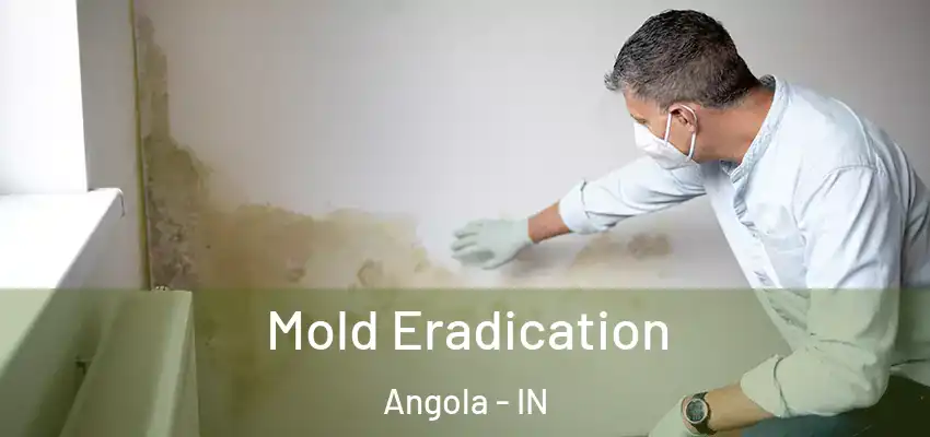  Mold Eradication Angola - IN