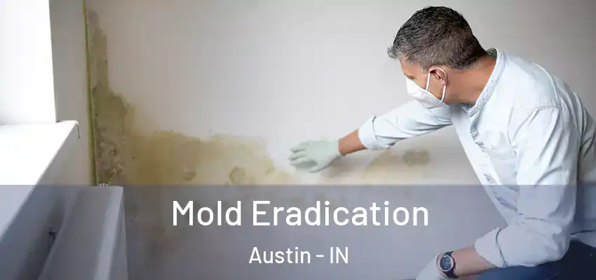  Mold Eradication Austin - IN