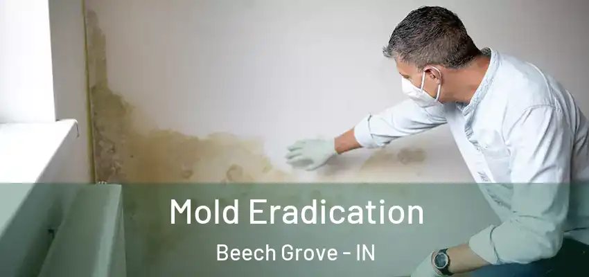  Mold Eradication Beech Grove - IN