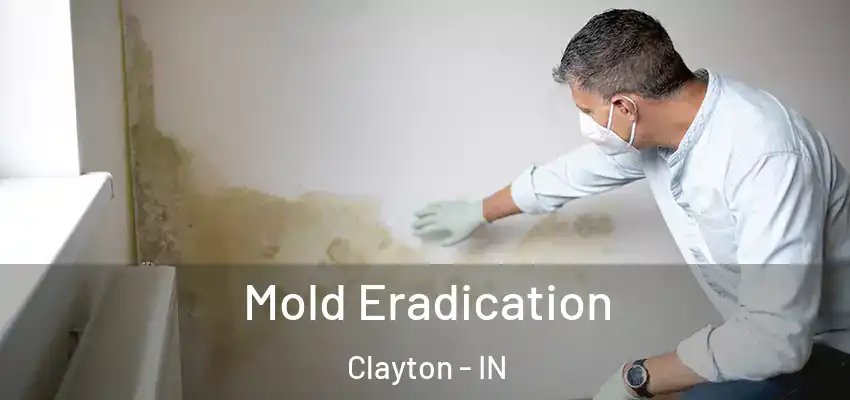  Mold Eradication Clayton - IN