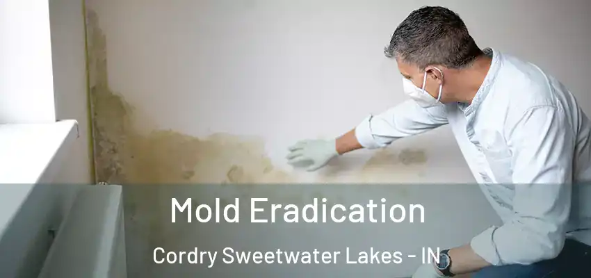  Mold Eradication Cordry Sweetwater Lakes - IN