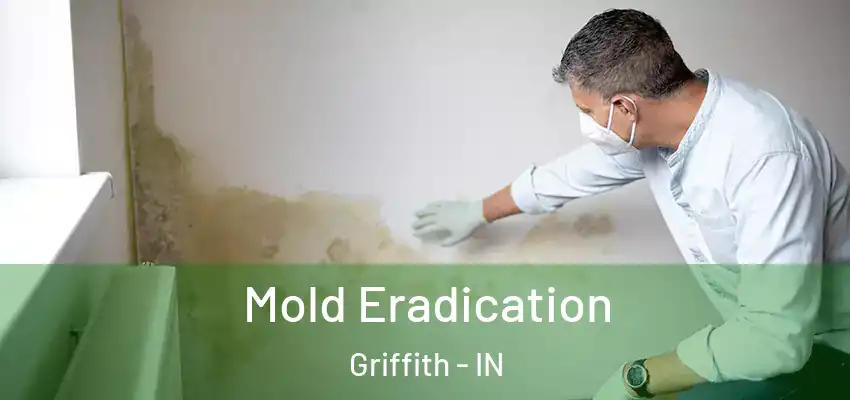  Mold Eradication Griffith - IN