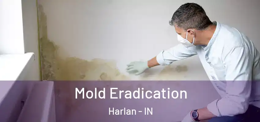  Mold Eradication Harlan - IN