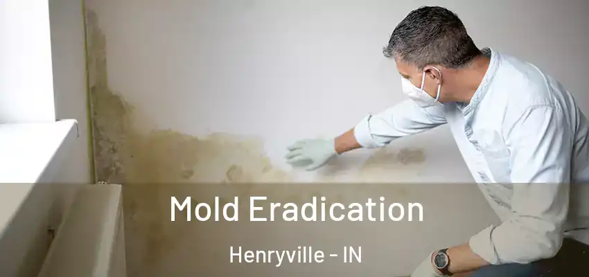  Mold Eradication Henryville - IN